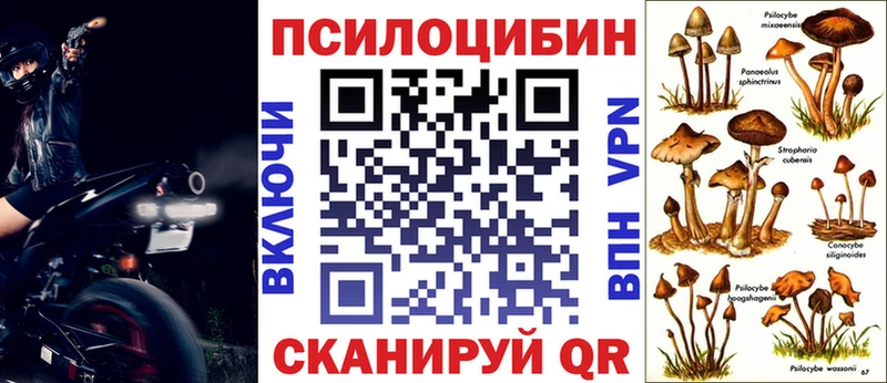 Галлюциногенные грибы MAGIC MUSHROOMS  Купить  Алапаевск 